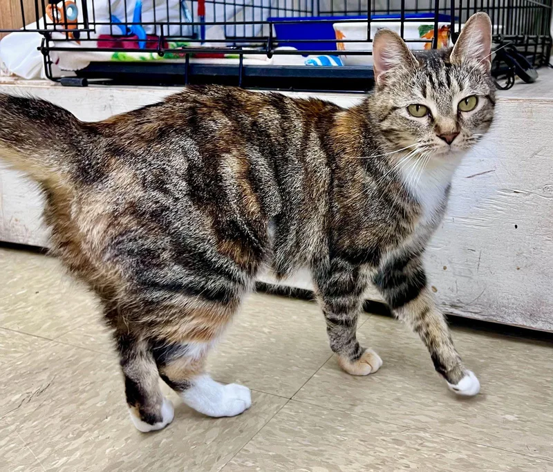 Florencejenkintown Ps thumbnail 3