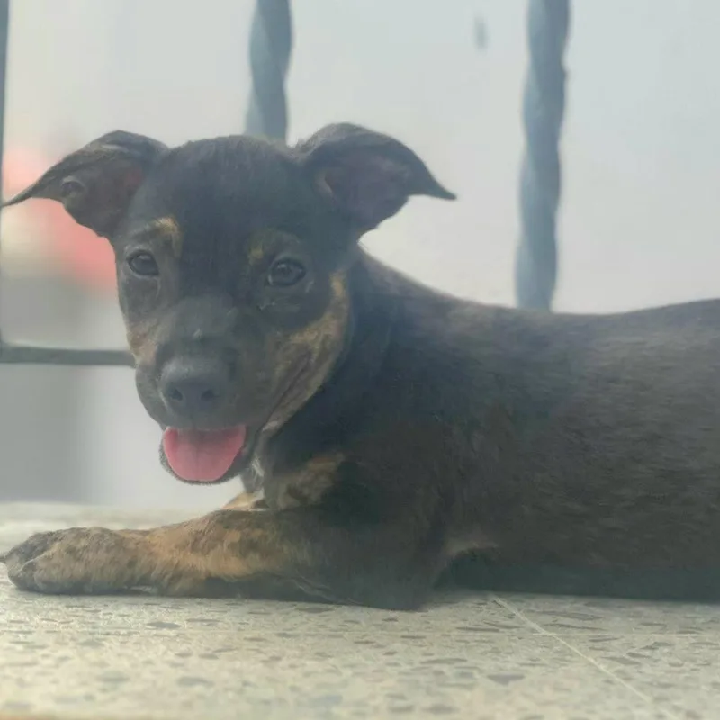 Tofy "be My Best thumbnail 2