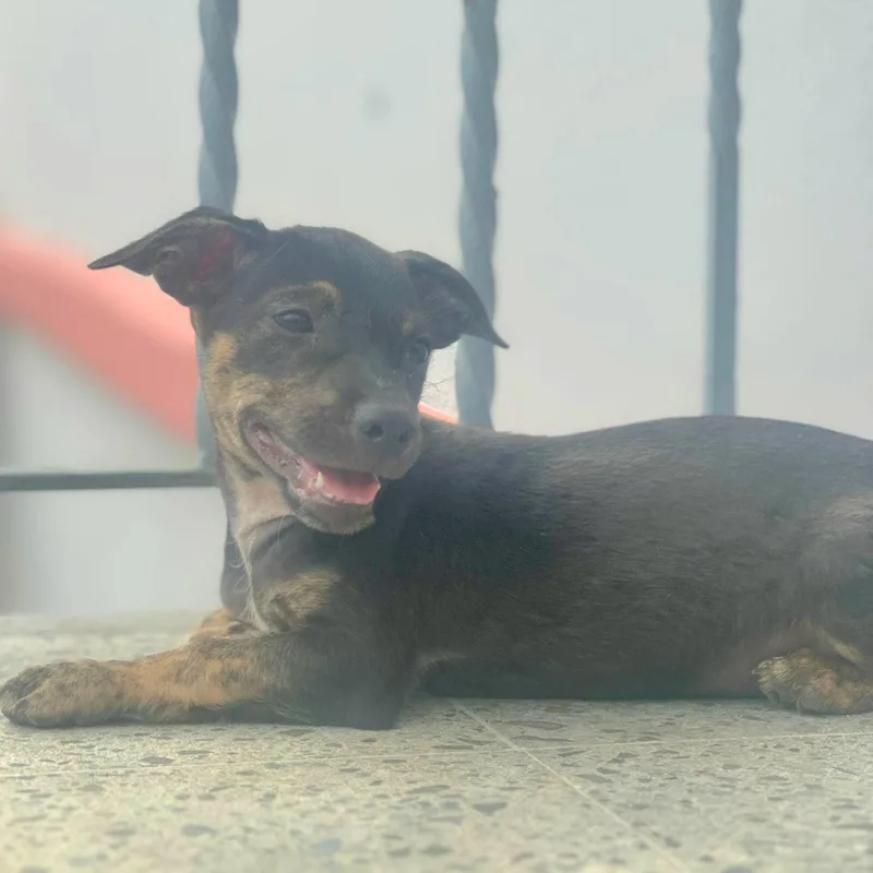 Tofy "be My Best thumbnail 3