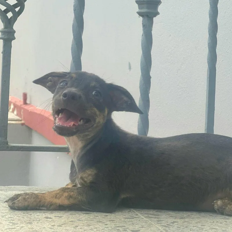 Tofy "be My Best thumbnail 4