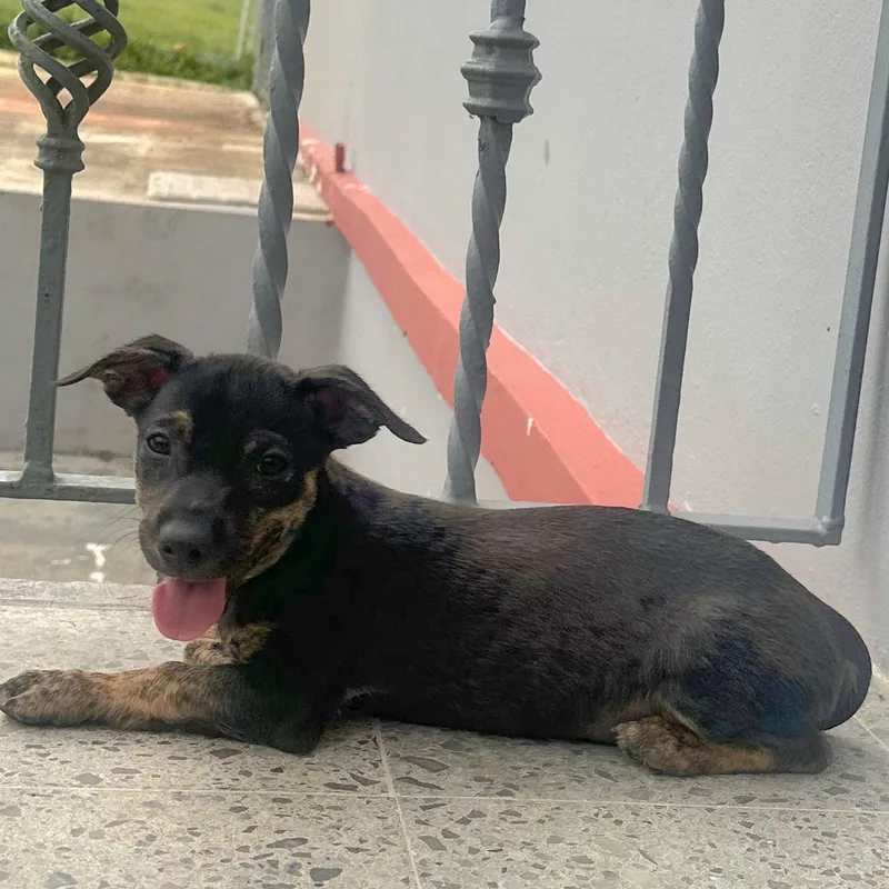 Tofy "be My Best thumbnail 5