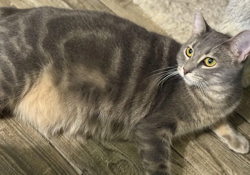 Espiral “essie” thumbnail 2