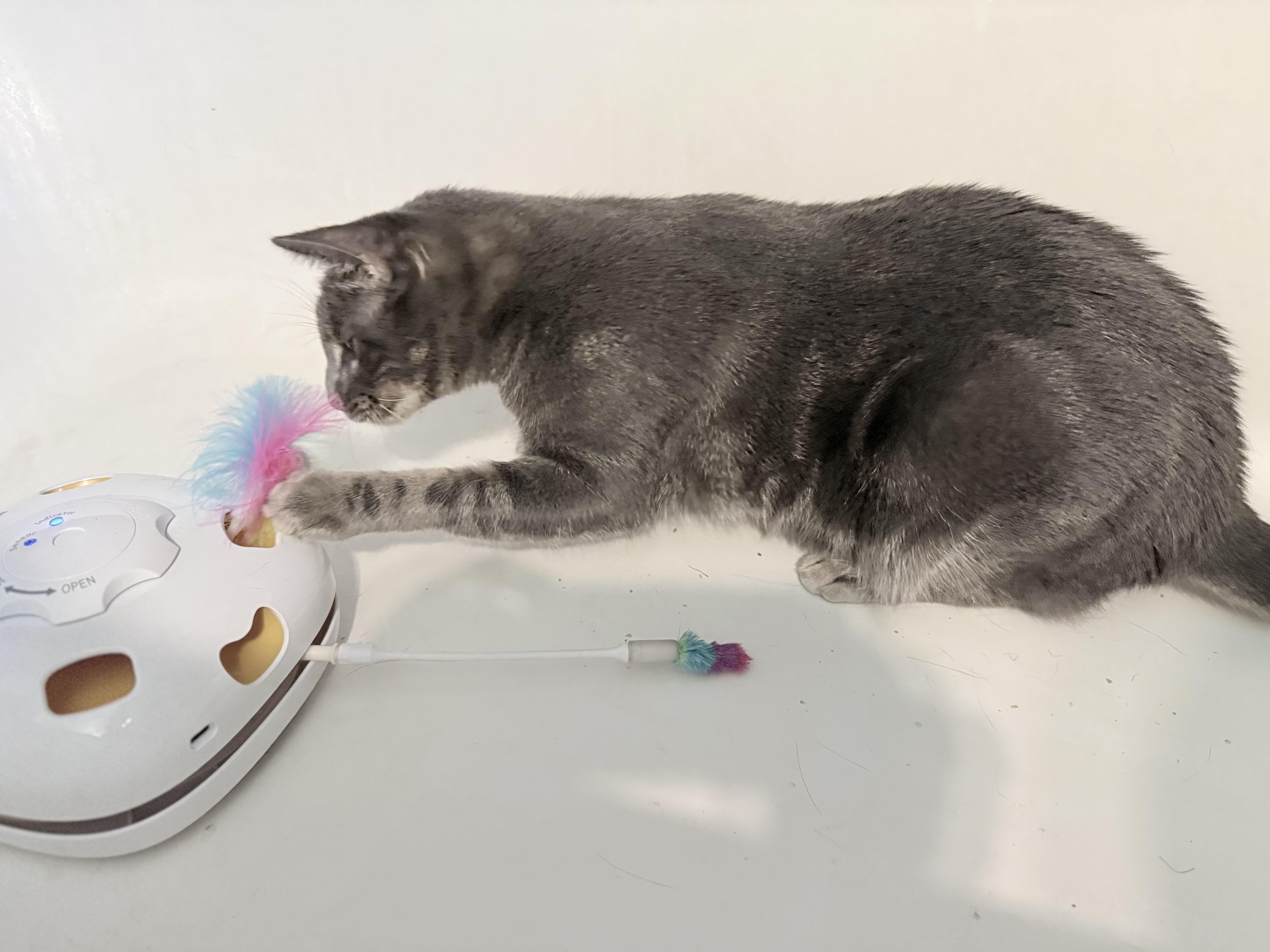 Espiral “essie” thumbnail 5