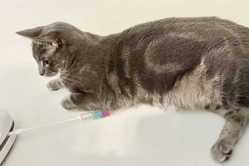 Espiral “essie” thumbnail 6