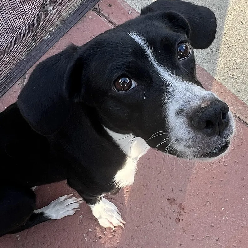 Ms. Gorgeous Minnie thumbnail 5