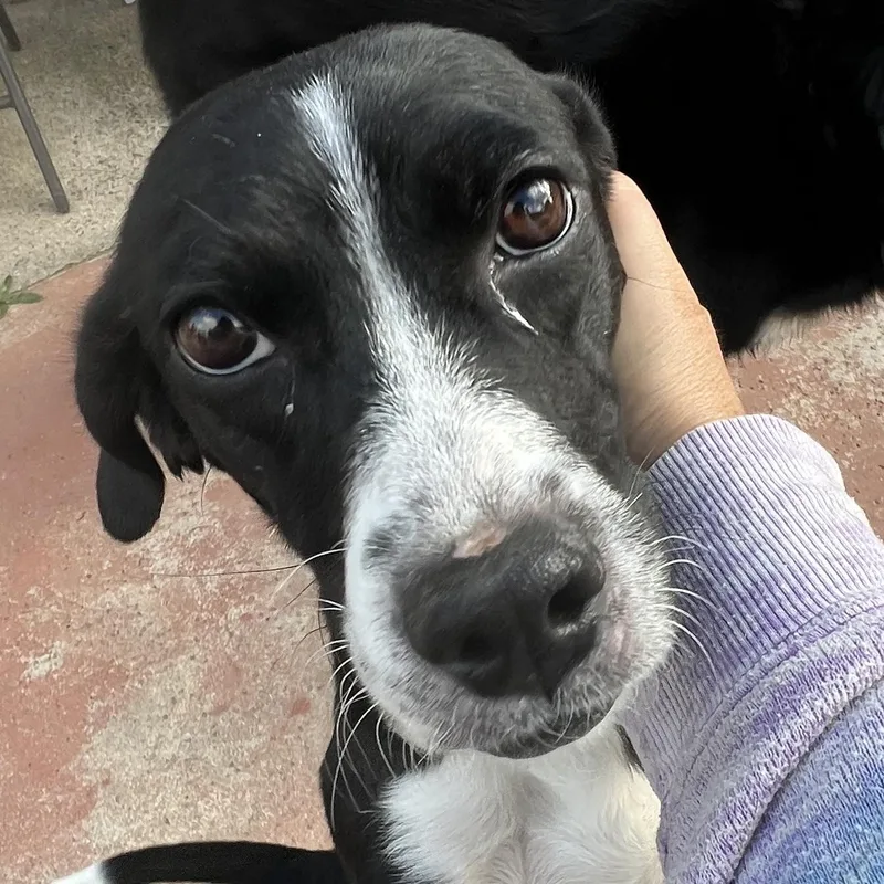 Ms. Gorgeous Minnie thumbnail 6