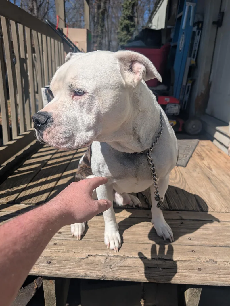 Pete Community Post thumbnail 2