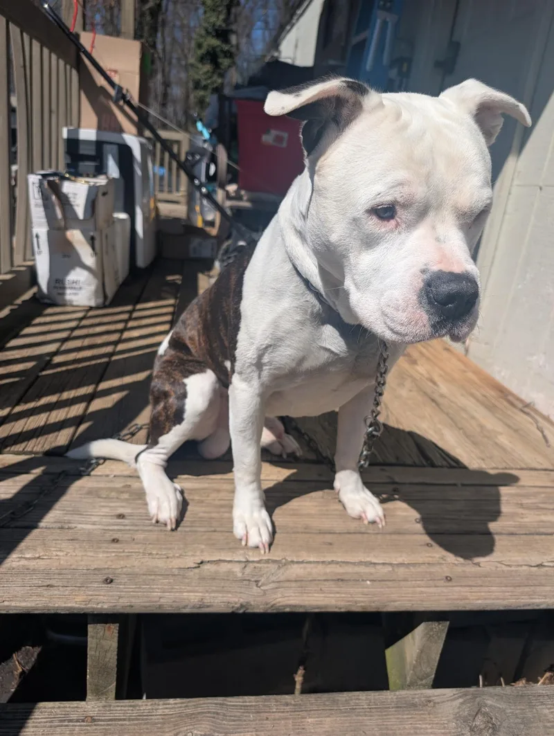 Pete Community Post thumbnail 3