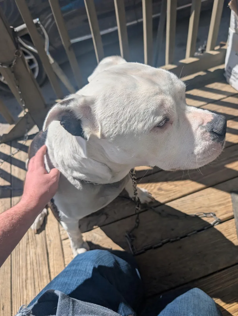 Pete Community Post thumbnail 4