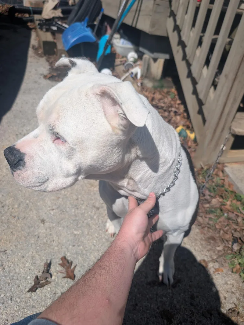 Pete Community Post thumbnail 5