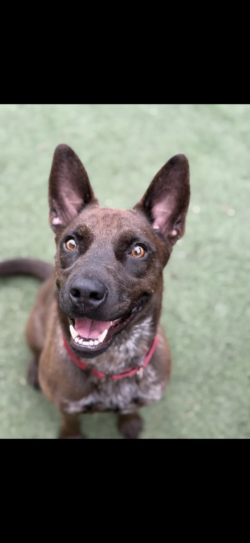 Momma Penelope thumbnail 2