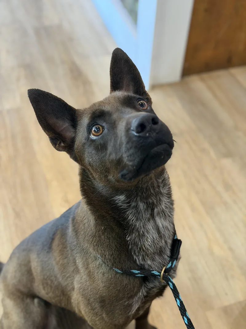 Momma Penelope thumbnail 3