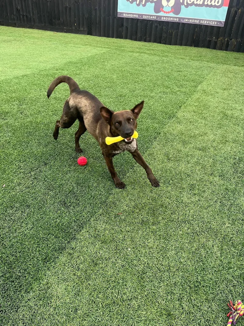 Momma Penelope thumbnail 4