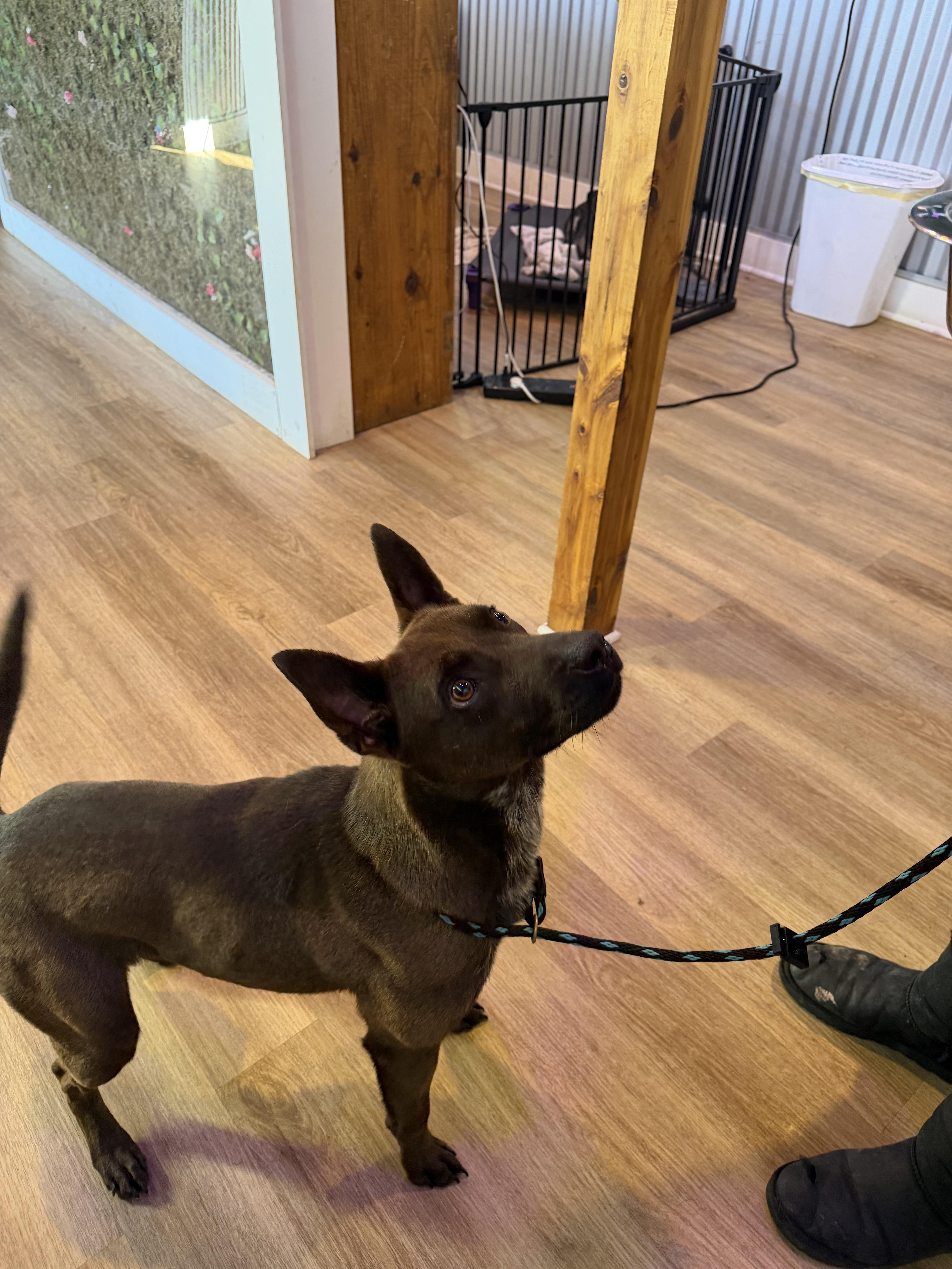 Momma Penelope thumbnail 5