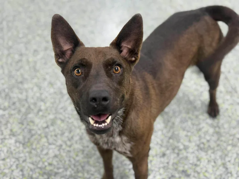 Momma Penelope thumbnail 6