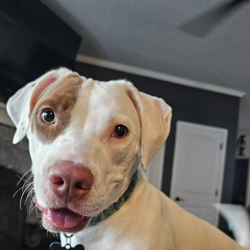 Lefty