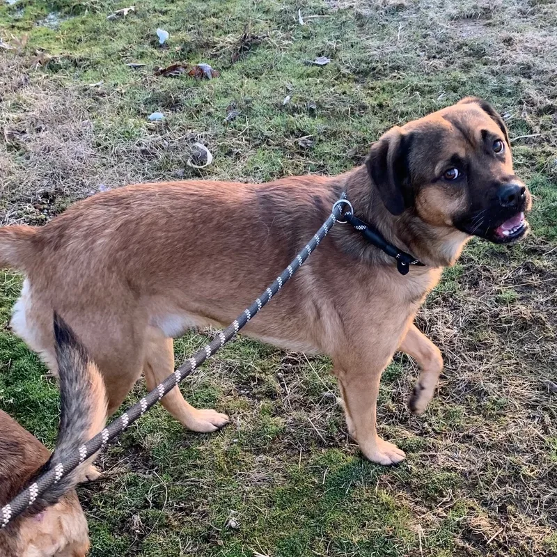 Lady & Zeus thumbnail 5