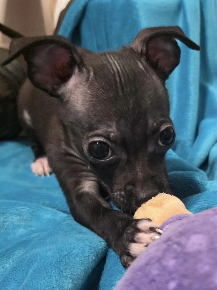Babe Woody thumbnail 2