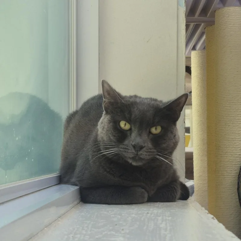 Lilah thumbnail 2