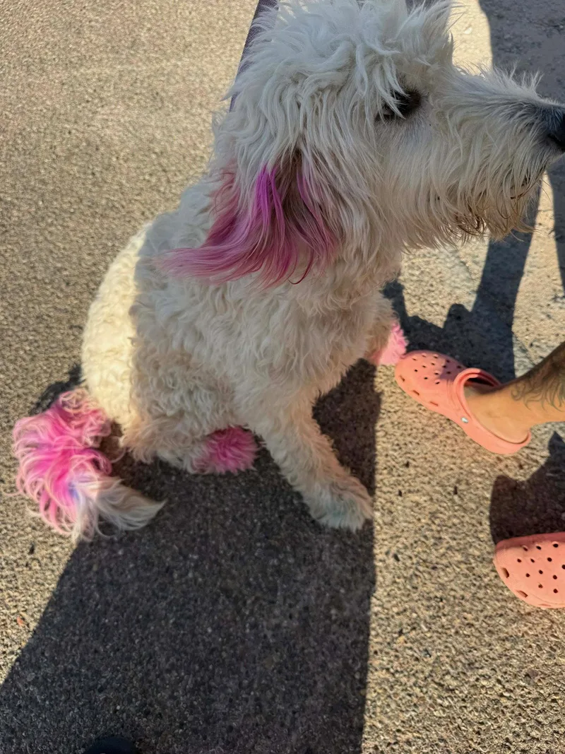 Lottie thumbnail 3