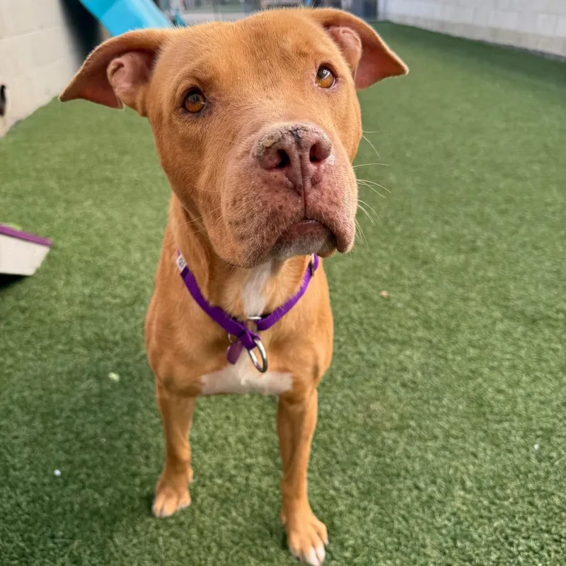 Miss Rachel thumbnail 5