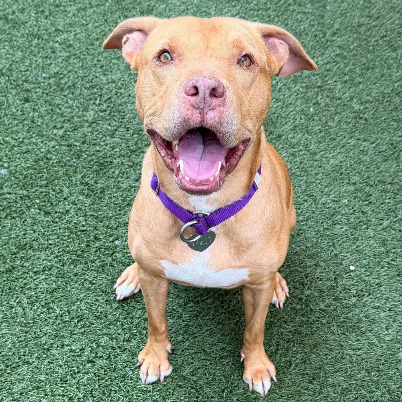 Miss Rachel thumbnail 6