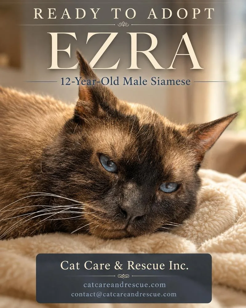 Ezra thumbnail 3