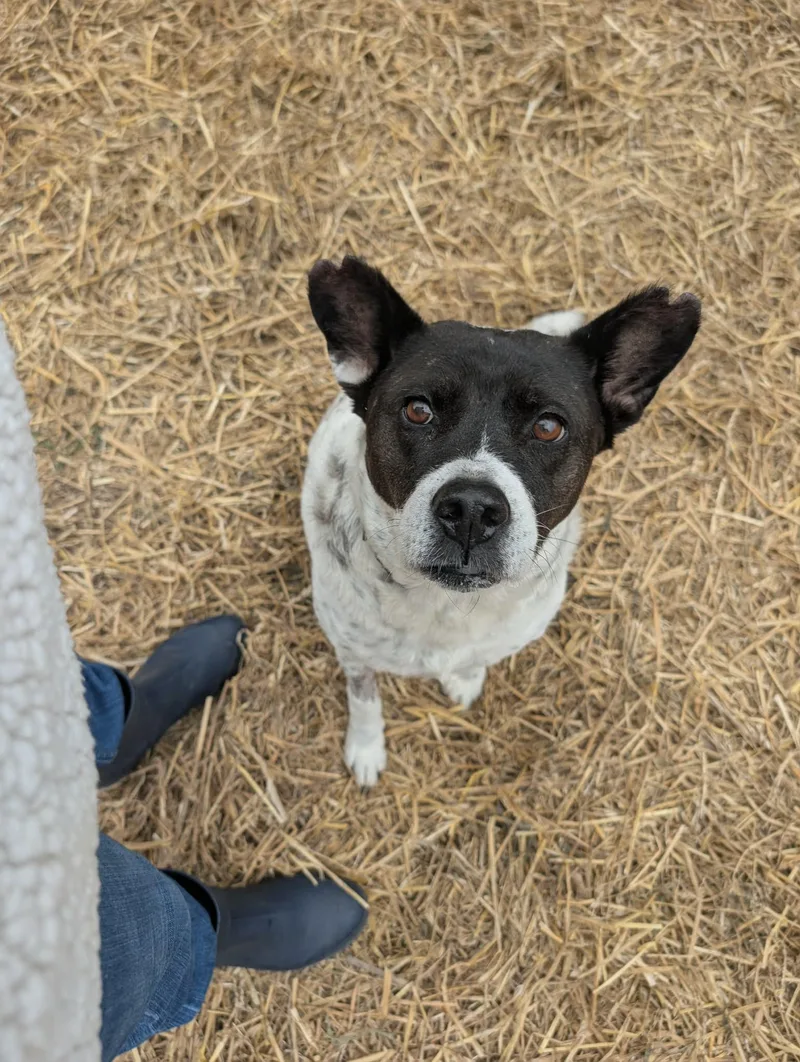 Maggie thumbnail 3