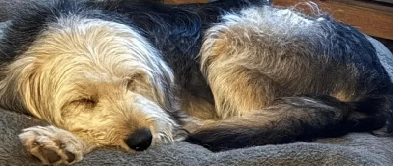 Murphy