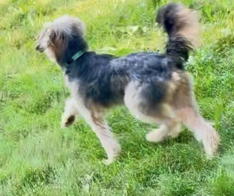 Murphy thumbnail 2
