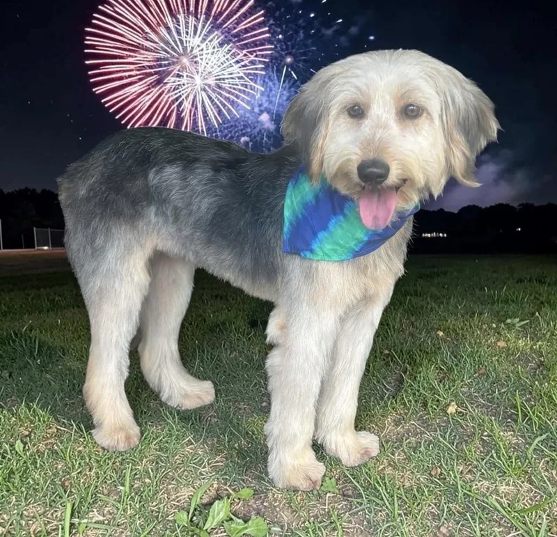 Murphy thumbnail 4