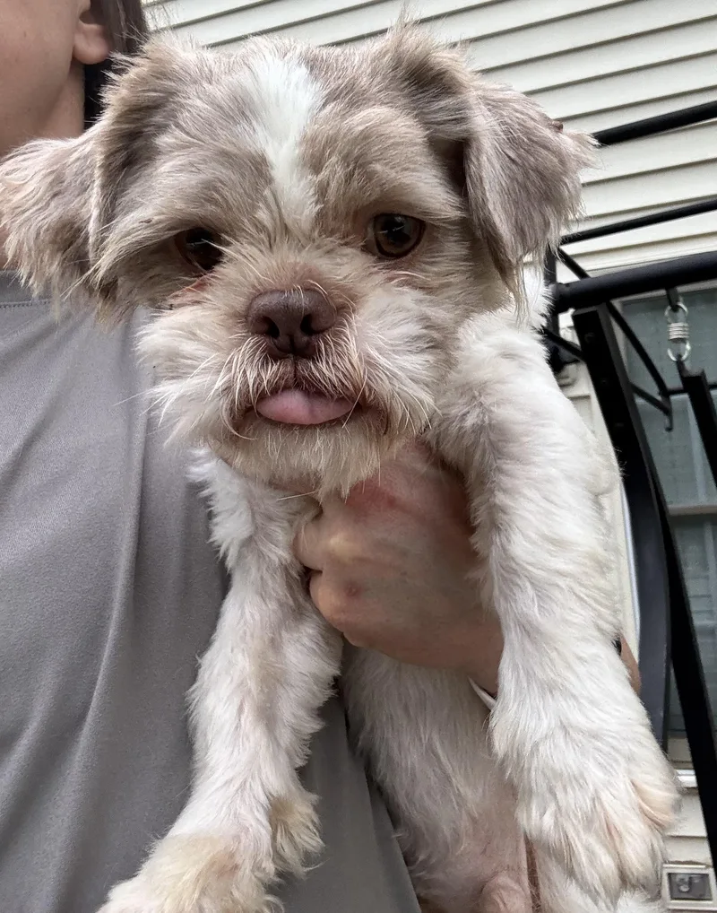 Tucker thumbnail 3