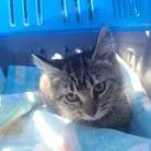 Penelope thumbnail 2