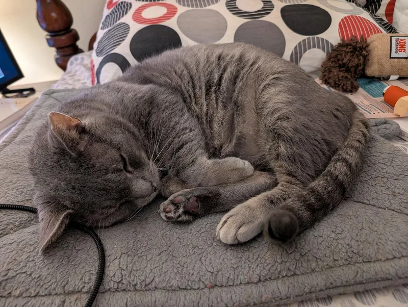 Brimleyc sn Food thumbnail 3