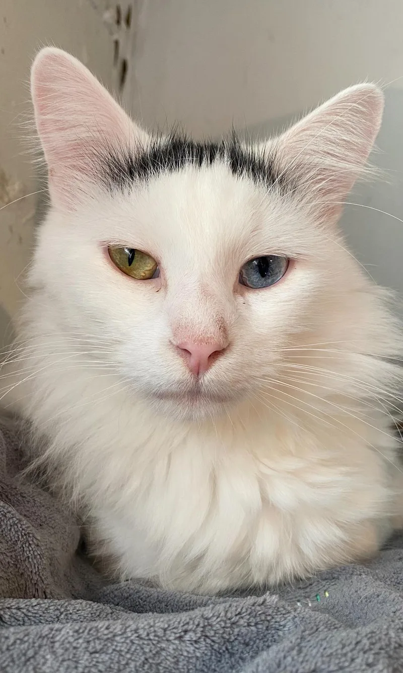 Michael Wave & Birdie thumbnail 4