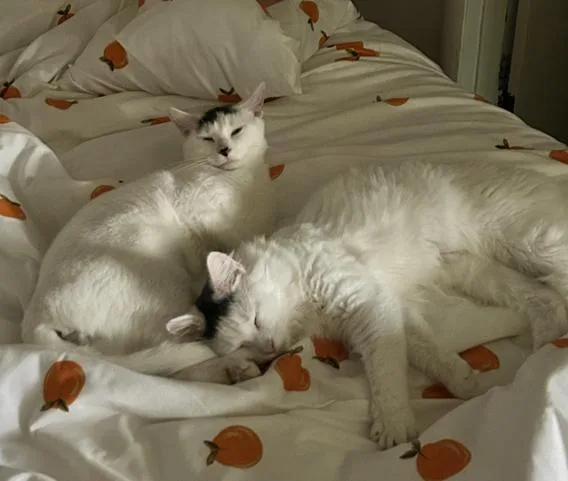 Michael Wave & Birdie thumbnail 5