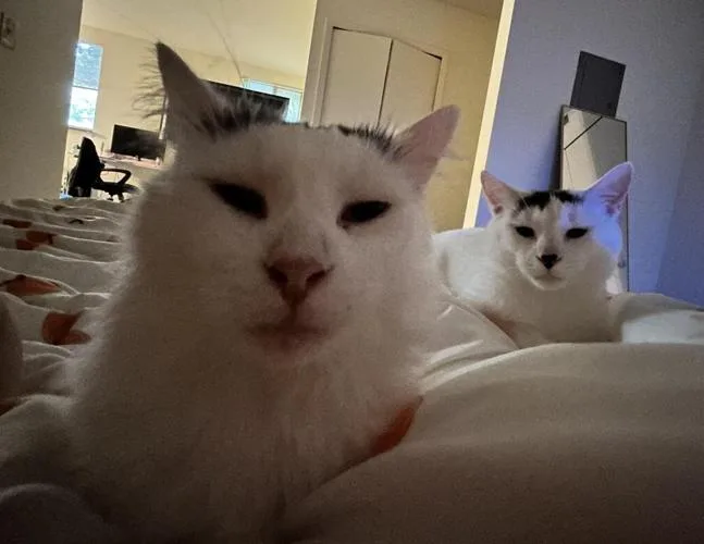 Michael Wave & Birdie thumbnail 6