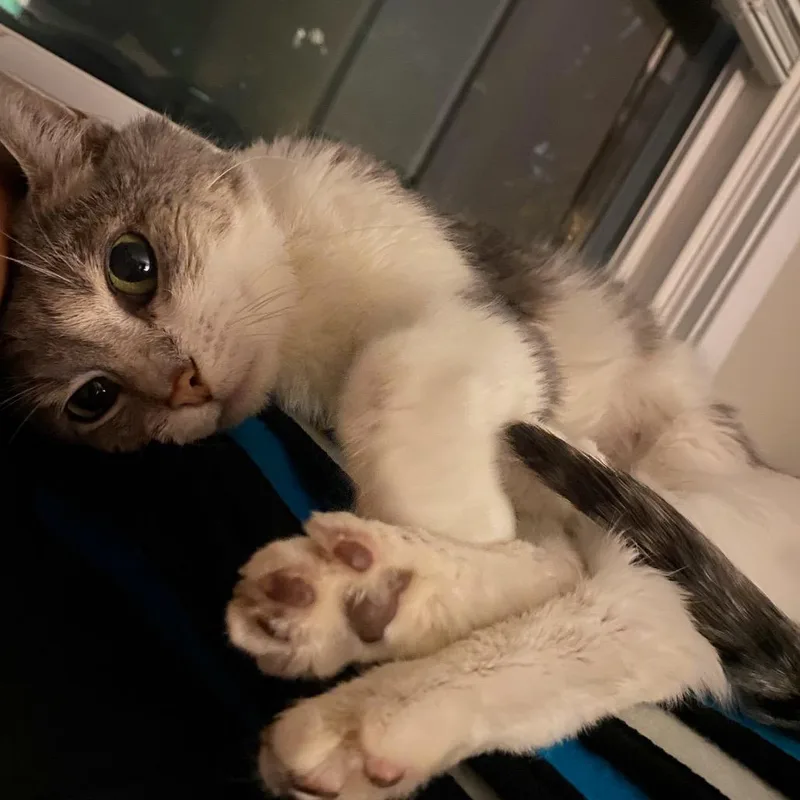 Gracie Mae C thumbnail 3