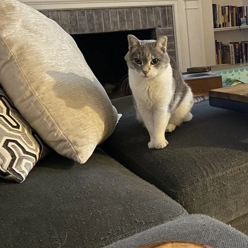 Gracie Mae C thumbnail 4