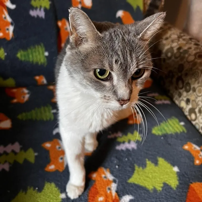 Gracie Mae C thumbnail 5