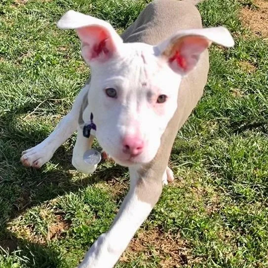 Sparkling Water thumbnail 2