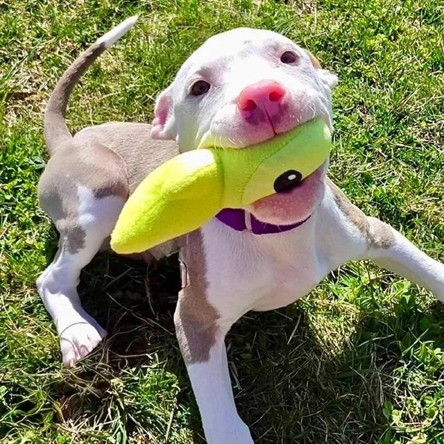 Sparkling Water thumbnail 3