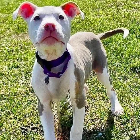 Sparkling Water thumbnail 5