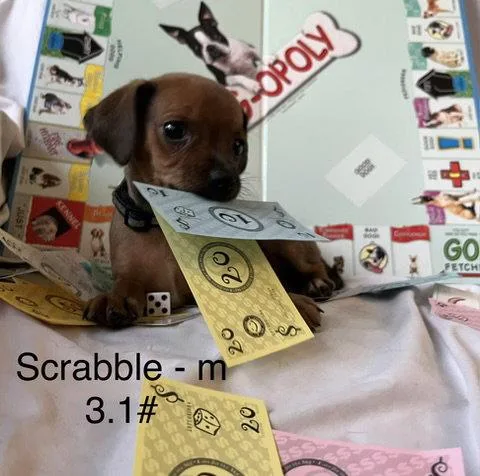 Scrabble thumbnail 2