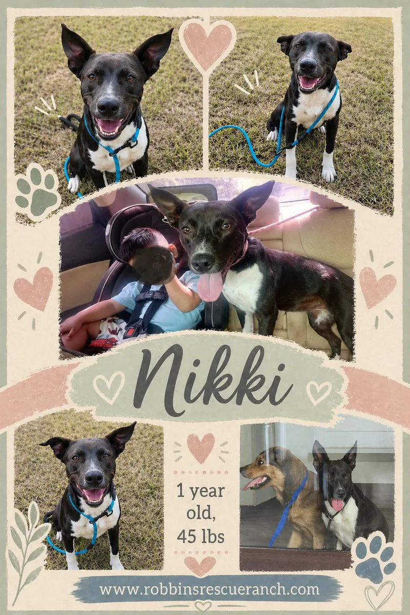 Nikki thumbnail 4
