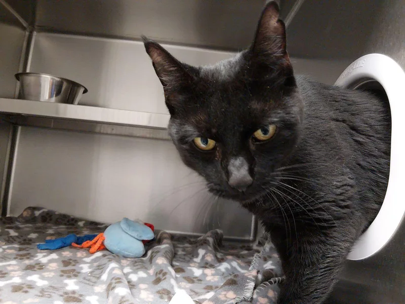 Winifred thumbnail 2