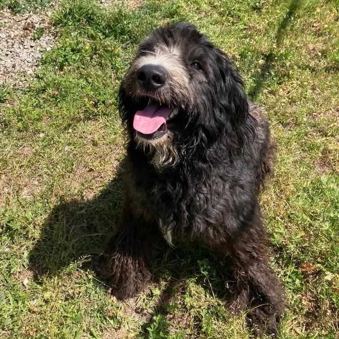 Hendricks thumbnail 3