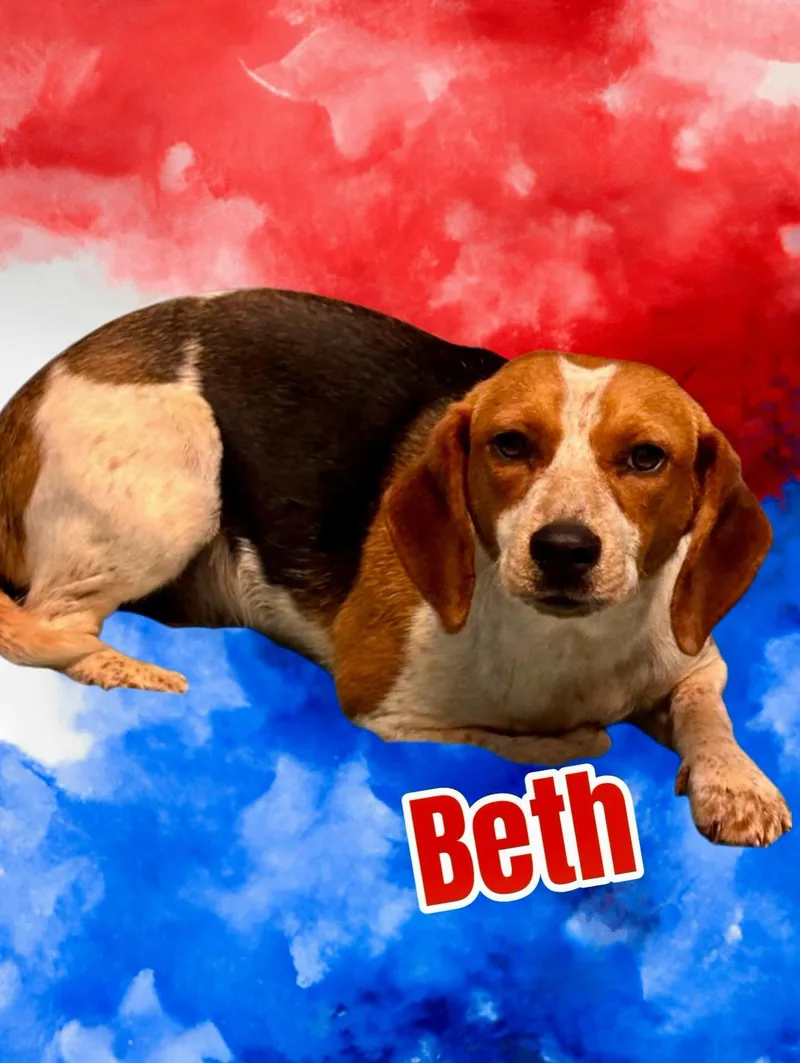 Beth thumbnail 2