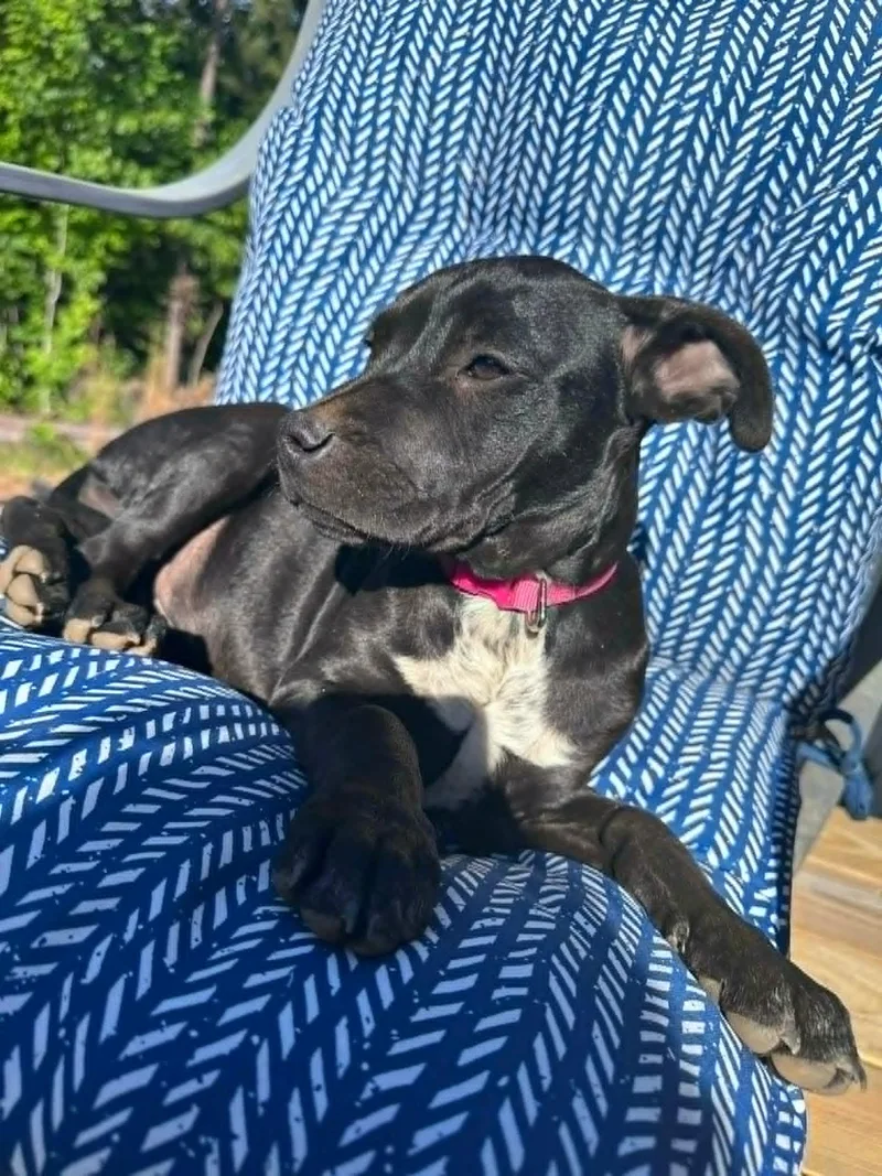Cleo