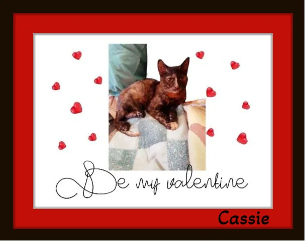 Cassie  Want To thumbnail 2